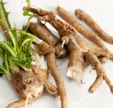 Chicory Root Inulin in SodaTide